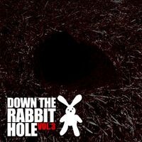 Down The Rabbit Hole Vol.3