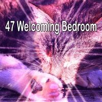 47 Welcoming Bedroom