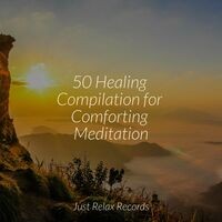 50 Healing Compilation for Comforting Meditation
