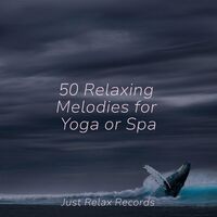 50 Relaxing Melodies for Yoga or Spa