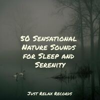 50 Sensational Nature Sounds for Sleep and Serenity