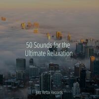 50 Sounds for the Ultimate Relaxation