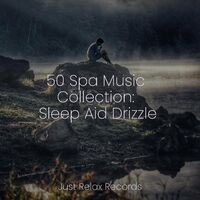 50 Spa Music Collection: Sleep Aid Drizzle