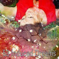 53 Induced Dreams