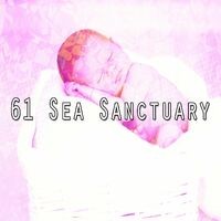 61 Sea Sanctuary