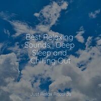 Best Relaxing Sounds | Deep Sleep and Chilling Out