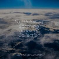 Fall Relaxing Soothing Ambient Collection
