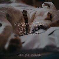 Meditation Zen Meditation Collection