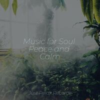 Music for Soul Peace and Calm