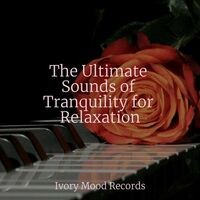 The Ultimate Sounds of Tranquility for Relaxation