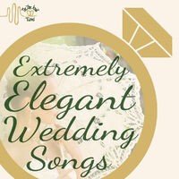 Extremely Elegant Wedding Reception Instrumental Songs by Tie the Knot Tunes