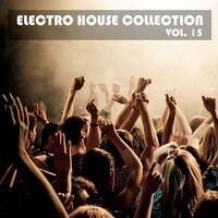 Electro House Collection, Vol. 15