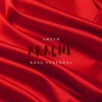 Aracne (feat. Amech)