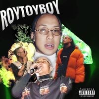 Roytoyboy