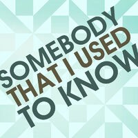 Somebody That I Used To Know - Single