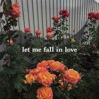 Let Me Fall in Love