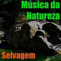 Música da Natureza