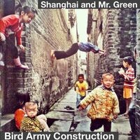Bird Army Construction