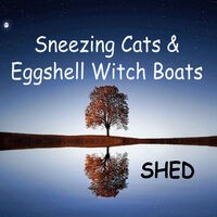 Sneezing Cats and Eggshell Witch Boats