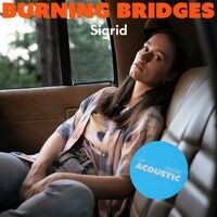 Burning Bridges (up close, acoustic)