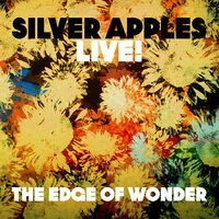 The Edge of Wonder (Live)