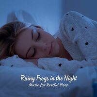 Rainy Frogs in the Night: Music for Restful Sleep