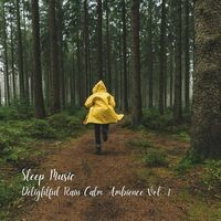 Sleep Music: Delightful Rain Calm Ambience Vol. 1