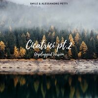 Cicatrici pt.2 (Unplugged Version)