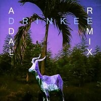 Drinkee (Addal Remix)