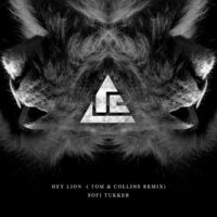Hey Lion (Tom & Collins Remix)