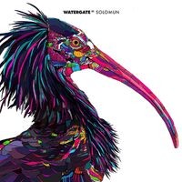 Watergate 11 - mixed by Solomun