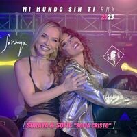 Mi Mundo Sin Ti (Remix)
