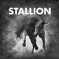 Stallion Session #1