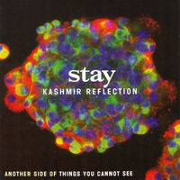 Kashmir Reflection