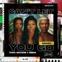 Can't Let You Go (Remix)