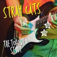 Stray Cats Live: The Toronto Strut
