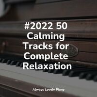 #2022 50 Calming Tracks for Complete Relaxation