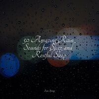 50 Amazing Rain Sounds for Sleep and Restful Sleep