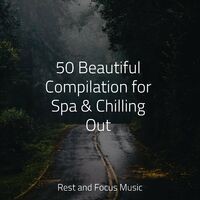 50 Beautiful Compilation for Spa & Chilling Out