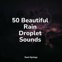 50 Beautiful Rain Droplet Sounds