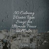 50 Calming Winter Rain Songs for Ultimate Peace and Calm