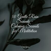 50 Gentle Rain Sounds - Calming Sounds for Meditation