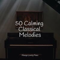 50 Mindful Reading Music - New Age Melodies for Relaxation