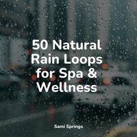 50 Natural Rain Loops for Spa & Wellness