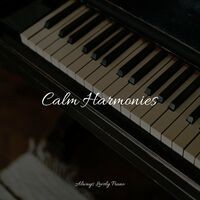 50 Peaceful Piano Tracks for Comforting and Absolute Serenity
