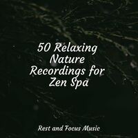 50 Relaxing Nature Recordings for Zen Spa