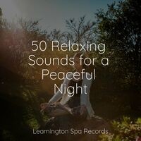 50 Relaxing Sounds for a Peaceful Night