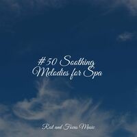 #50 Soothing Melodies for Spa