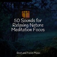 50 Sounds for Relaxing Nature Meditation Focus