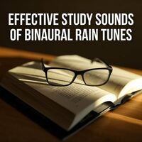 Effective Study Sounds of Binaural Rain Tunes